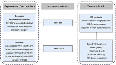 Exploring the Causality Between Body Mass Index and Sepsis: A Two-Sample Mendelian Randomization Study